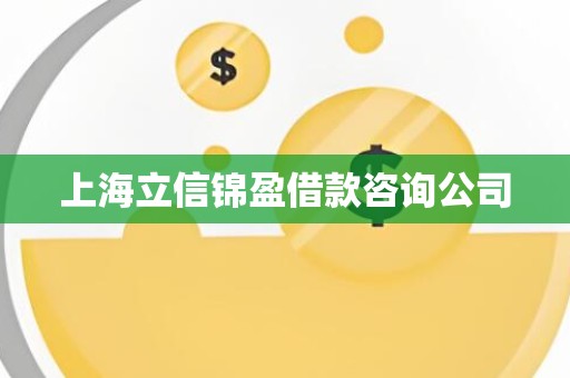 上海立信锦盈借款咨询公司