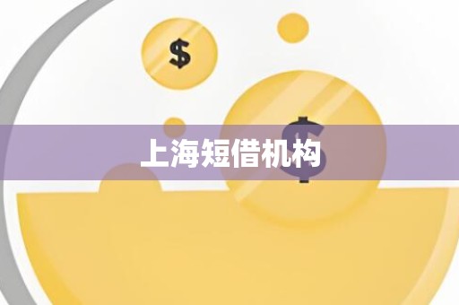 上海短借机构