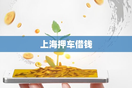 上海押车借钱