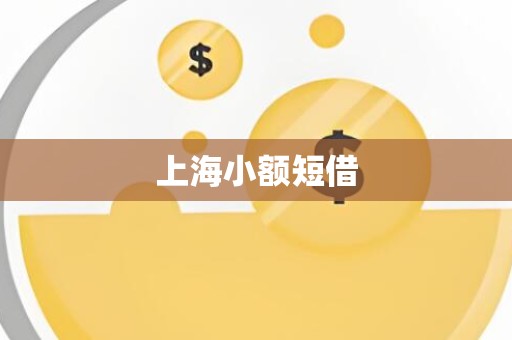 上海小额短借