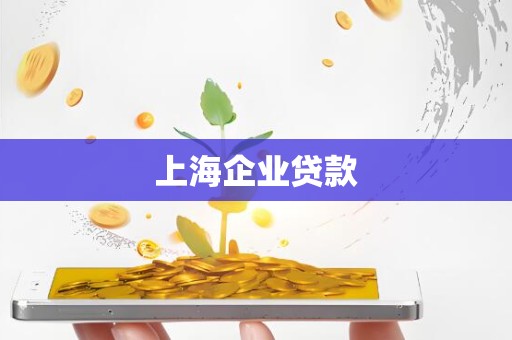 上海企业贷款