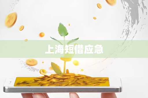 上海短借应急